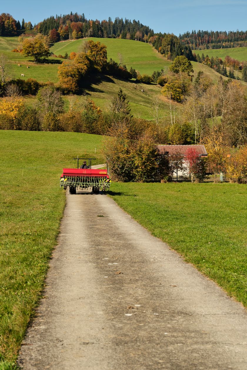 Es geht nur wenige Meter von seinem eigenen Hof entfernt aufs Feld. Was für ein herrliches Wetter.
