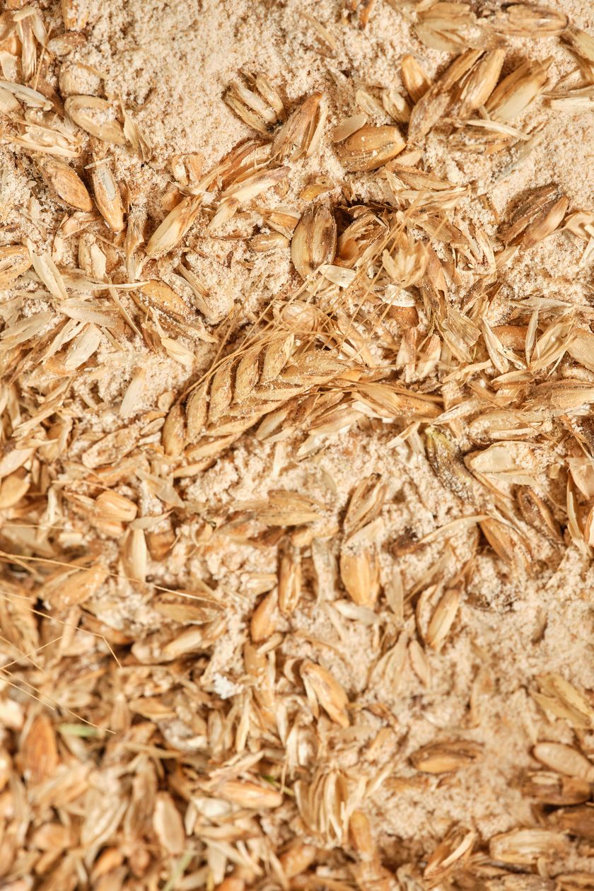 Das hier wurde alles aussortiert - es bleiben aber trotzdem genau 4'460 kg Urdinkel übrig.