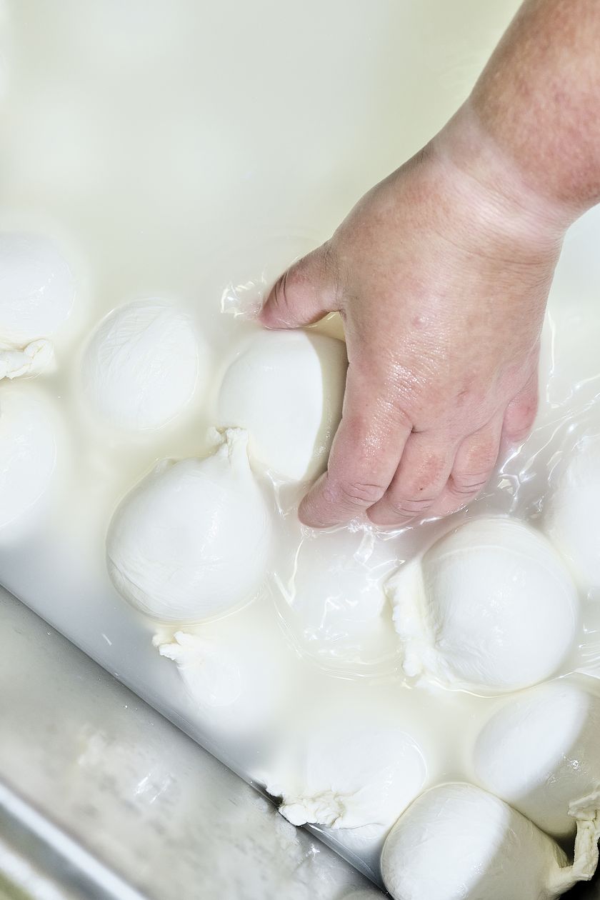 Regionalprodukte_Bergheumilch_Mozzarella_Verarbeitung_Bergkaeserei Marbach_hurrah.ch (32)