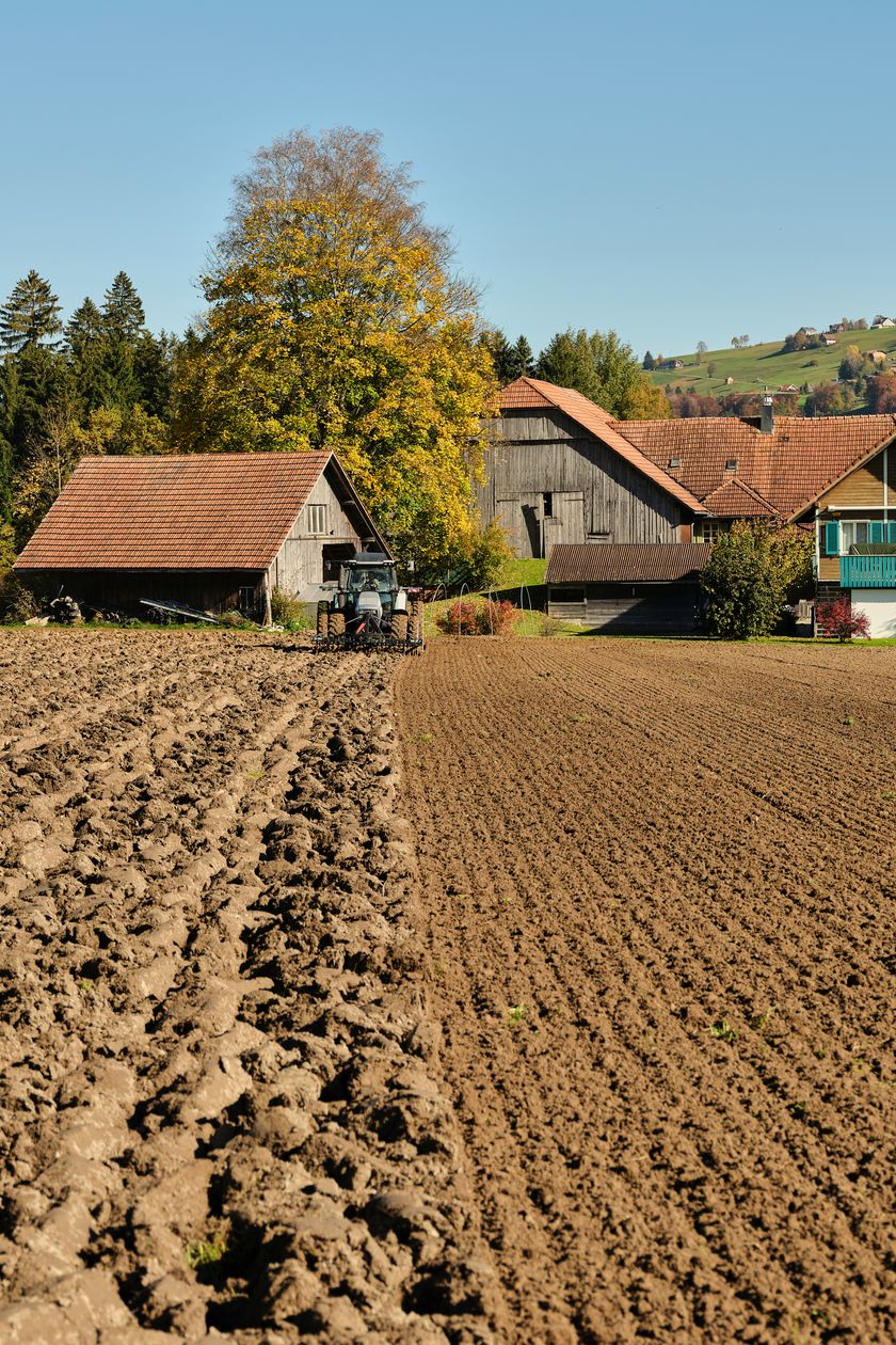 Regionalprodukte_Urdinkel_Saat_Schüpfheim_hurrah.ch (28)