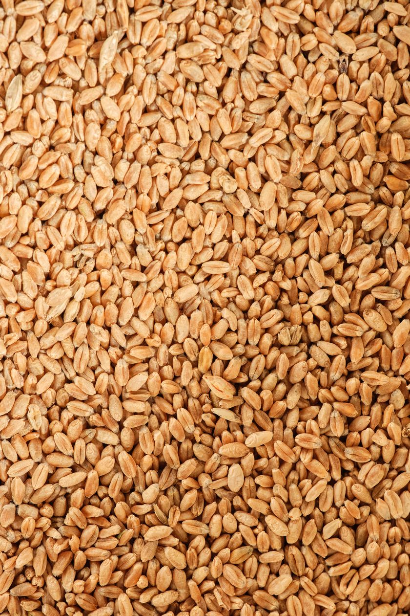 Das Endresultat: Feinster Schweizer Urdinkel aus der Biosphäre Entlebuch.