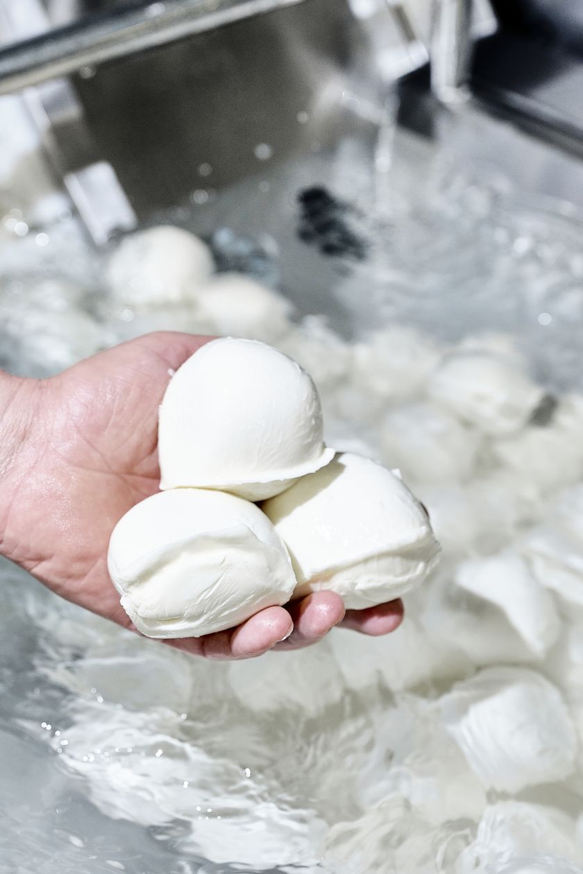 Regionalprodukte_Bergheumilch_Mozzarella_Verarbeitung_Bergkaeserei Marbach_hurrah.ch (26)
