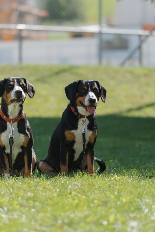 2026_08_30_Jubiläumsfest_Sonntag_Sven_Duss (30)