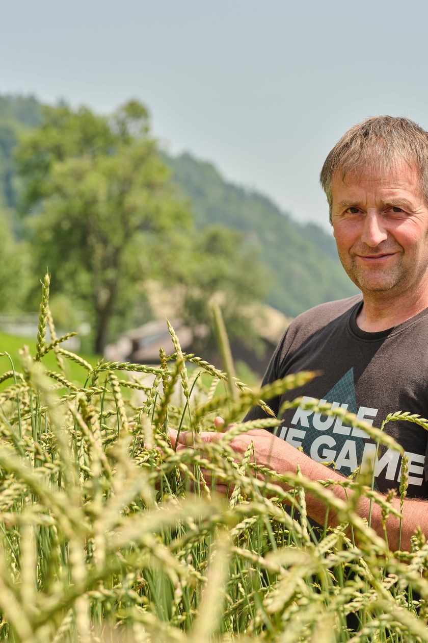 Der Urdinkel Experte aus dem Entlebuch: Beat Emmenegger in einem der Urdinkelfelder, die er für seine Kunden betreut.
