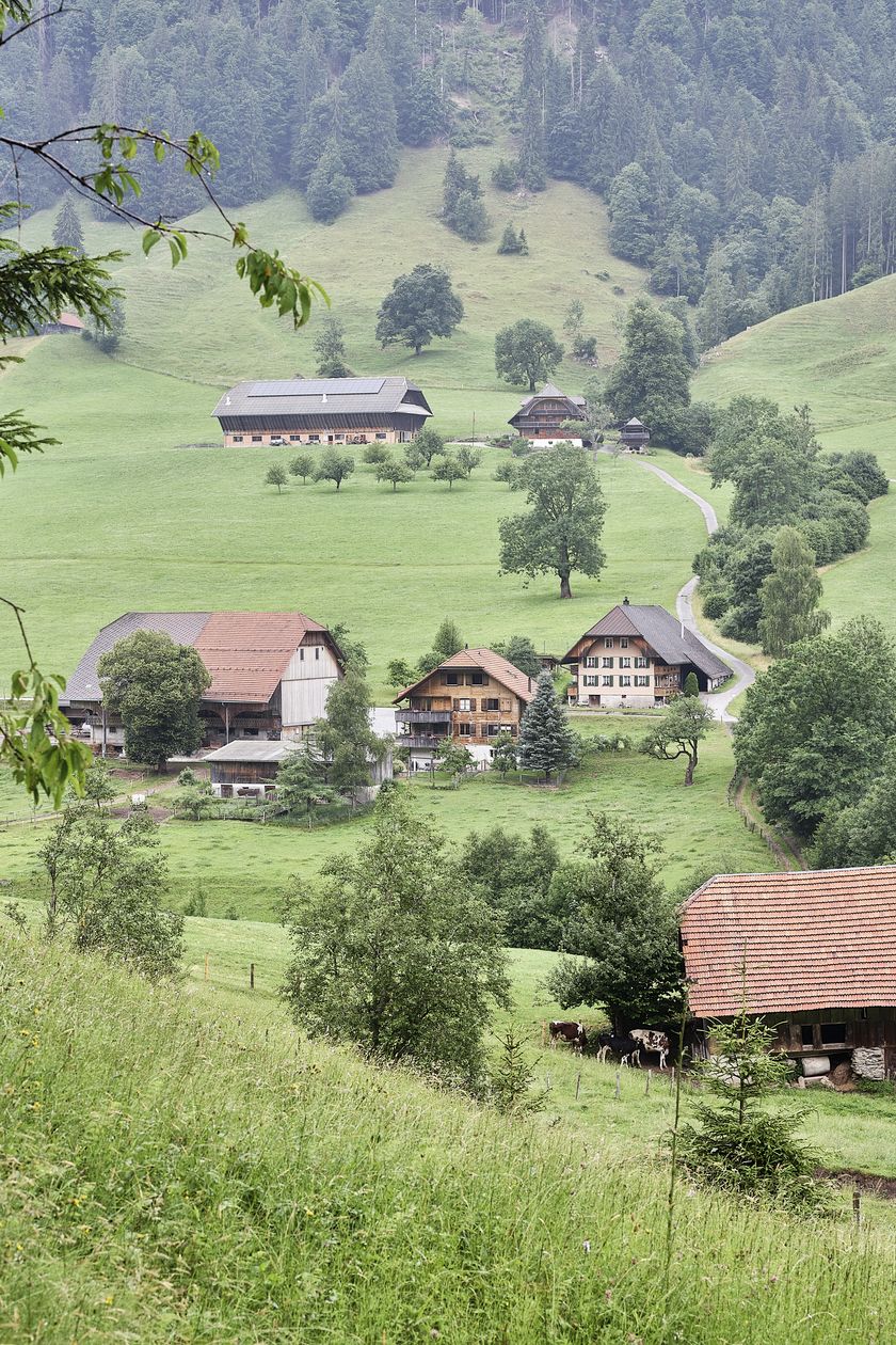 Regionalprodukte_Bergheumilch_Mozzarella_Hof Untergass_Marbach_hurrah.ch (72)
