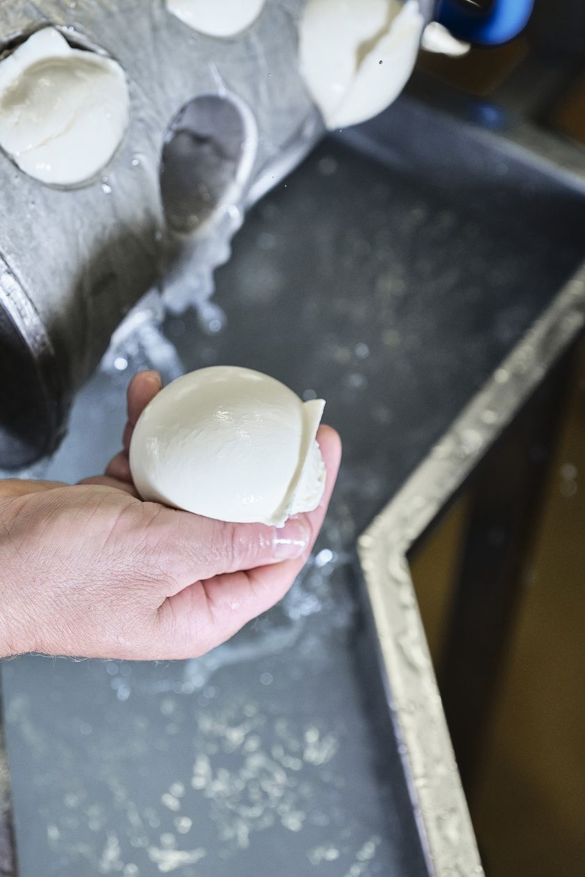 Regionalprodukte_Bergheumilch_Mozzarella_Verarbeitung_Bergkaeserei Marbach_hurrah.ch (12)